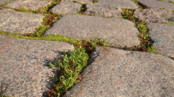 Granite cobble stones in Finland