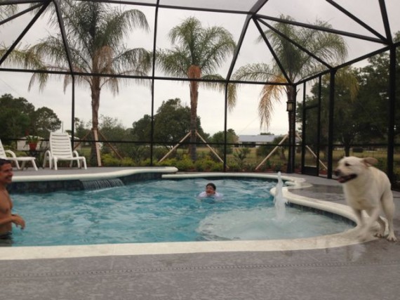 Florida family enjoying backyard pool