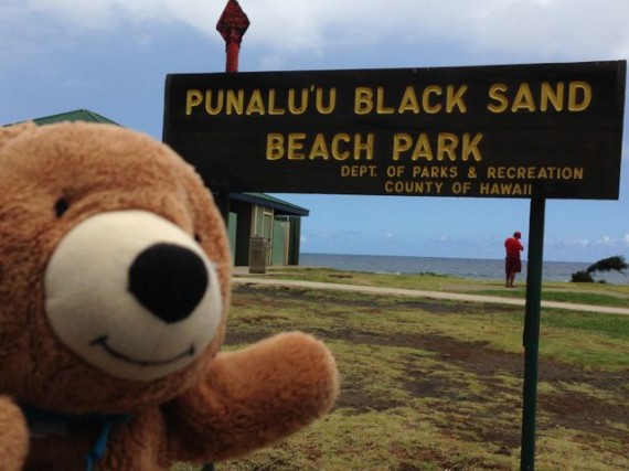 Hawaiian Black Sand Beach State park