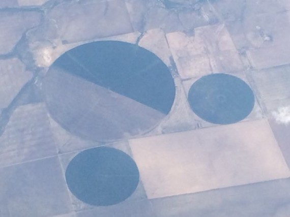 Mickey Mouse shaped crop circles from Delta flight