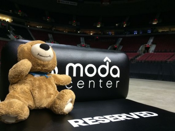 Teddy Bear in Moda Center