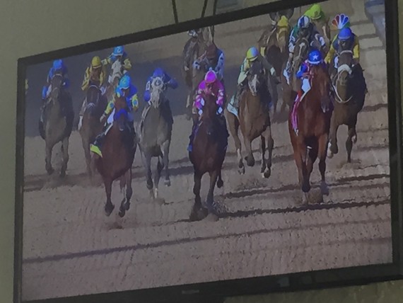 2015 Kentucky Derby homestretch photo