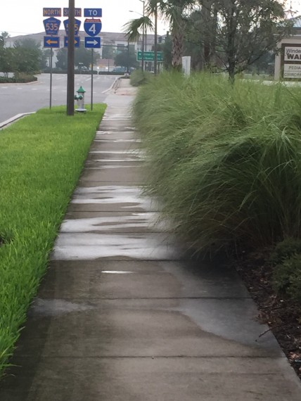 Residential neighborhoods behind Walt Disney World