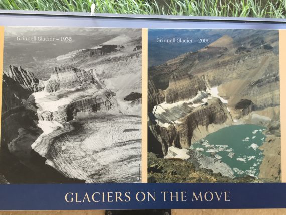 Grinnell Glacier shrinking