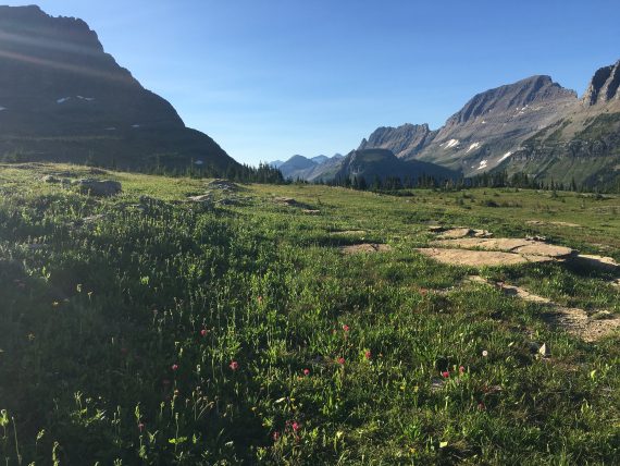 Logan Pass scenery