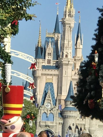 Cinderella Castle and Magic Kingdom Christmas Tree