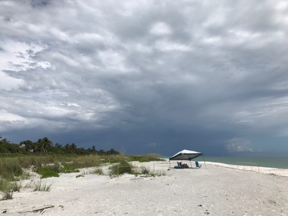 Sanibel beach