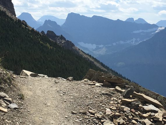 Highline trail Grinnell Glacier overlook