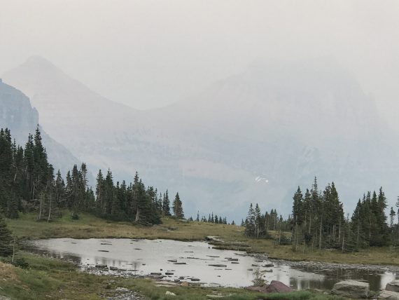 Logan Pass