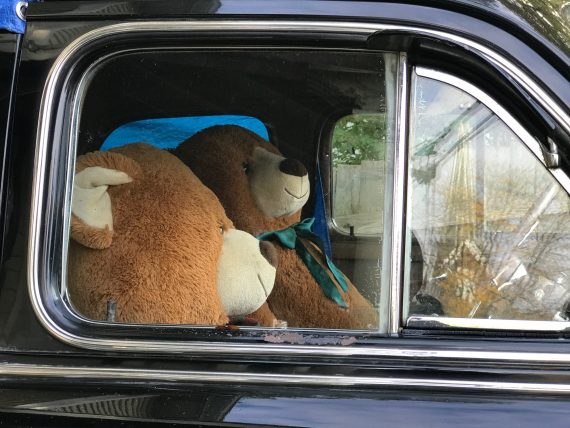 Teddy bears in car