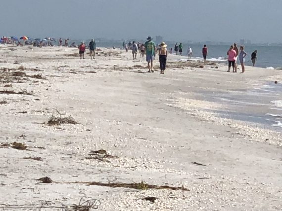 Sanibel Island Beach in winter