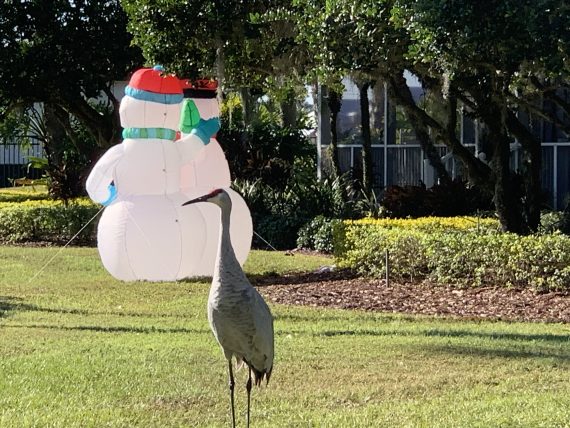 Snowman and Sand Hill crane