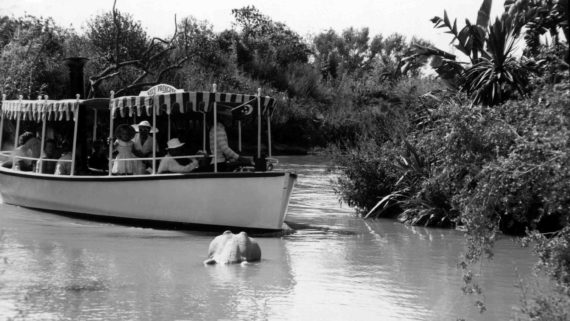 Jungle Cruise black and white photo