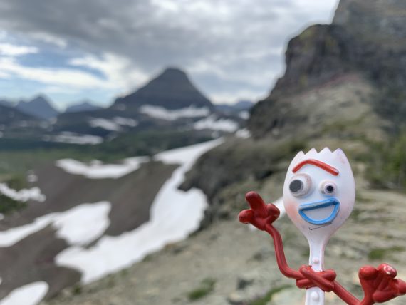 Forky in Glacier National Park