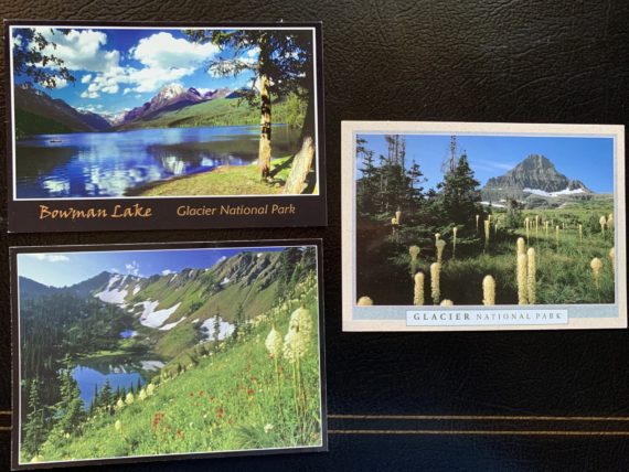 Glacier postcards