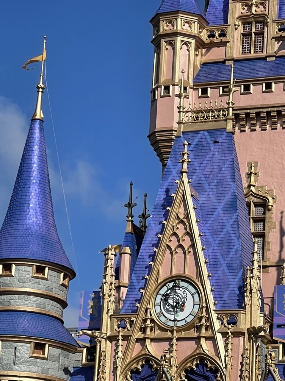 Cinderella Castle closeup