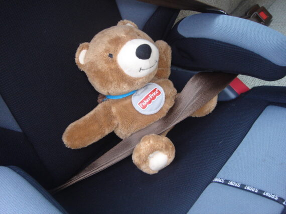 Teddy bear strapped into child’s car seat