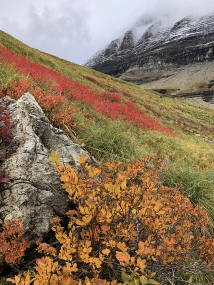 Autumn colors in mountains