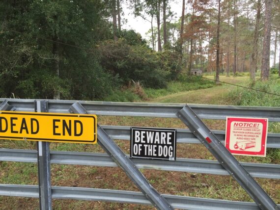 dead end sign on road gate