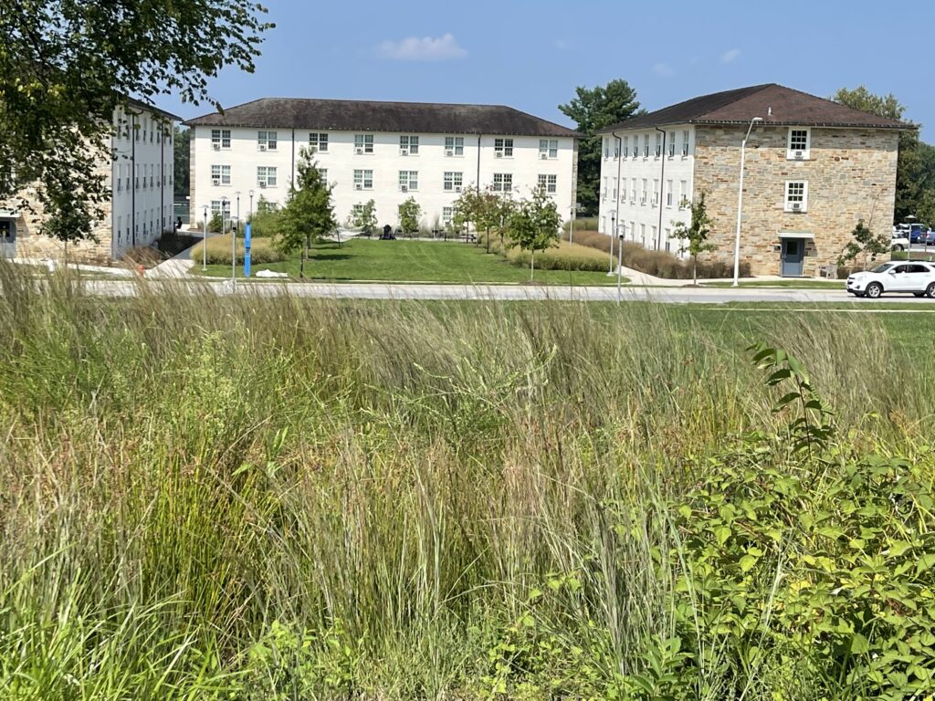 Old college dorms in a new location