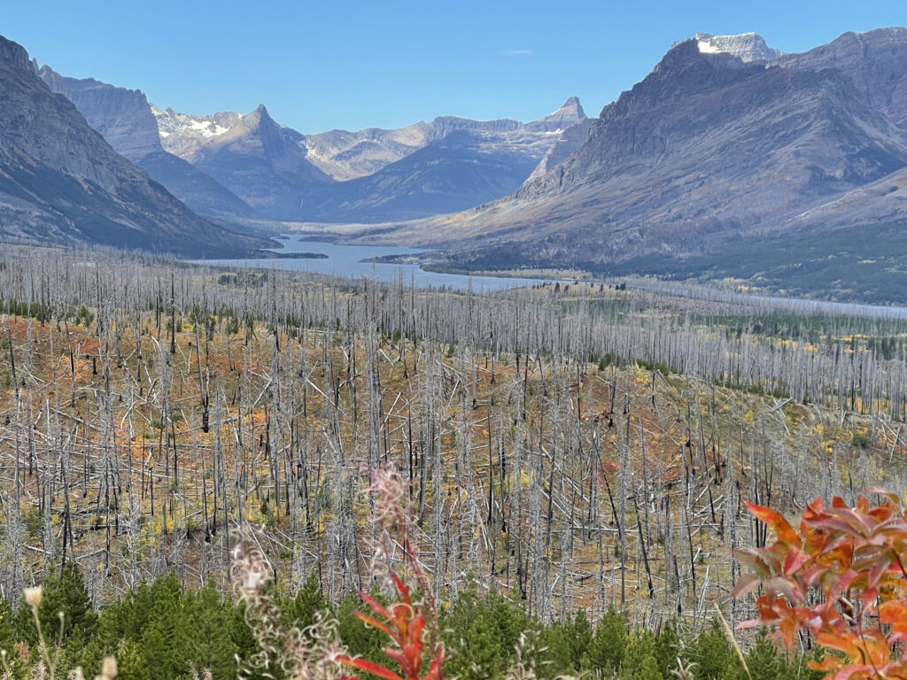 Mountains in autumn