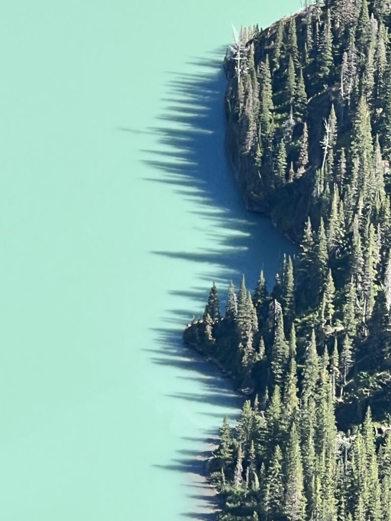 Tree shadows on aqua colored Lake