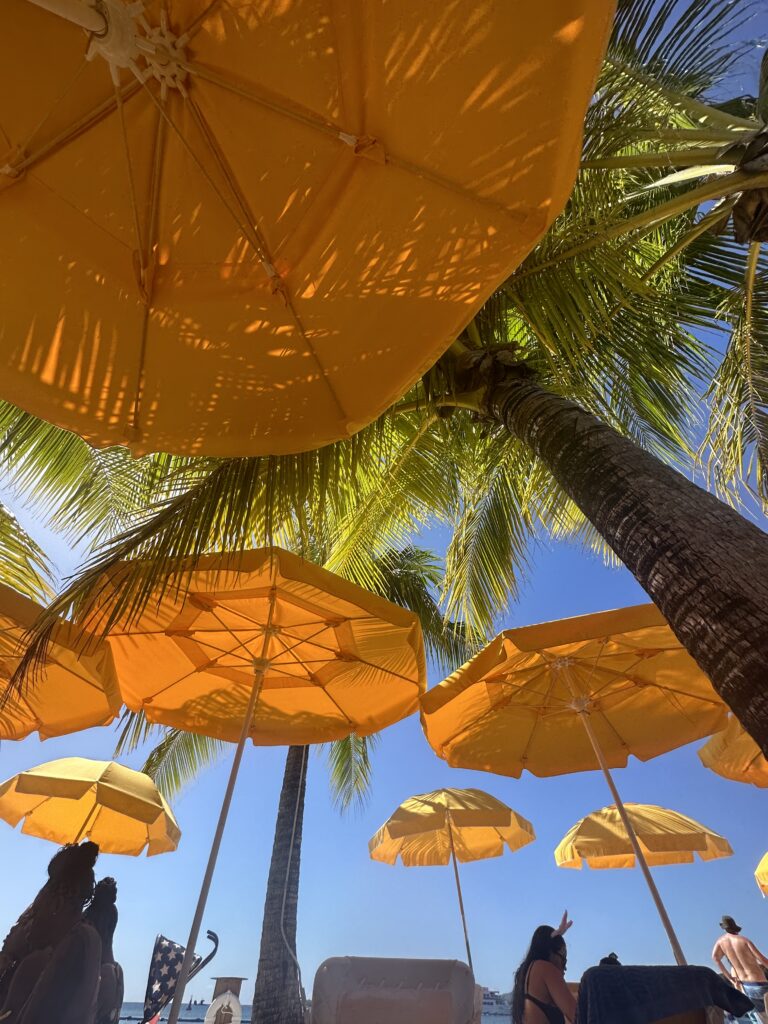 Beach umbrellas