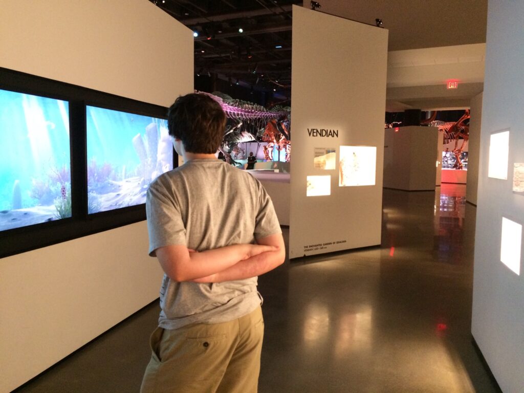 man in museum
