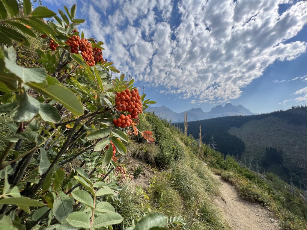 Mountain trail