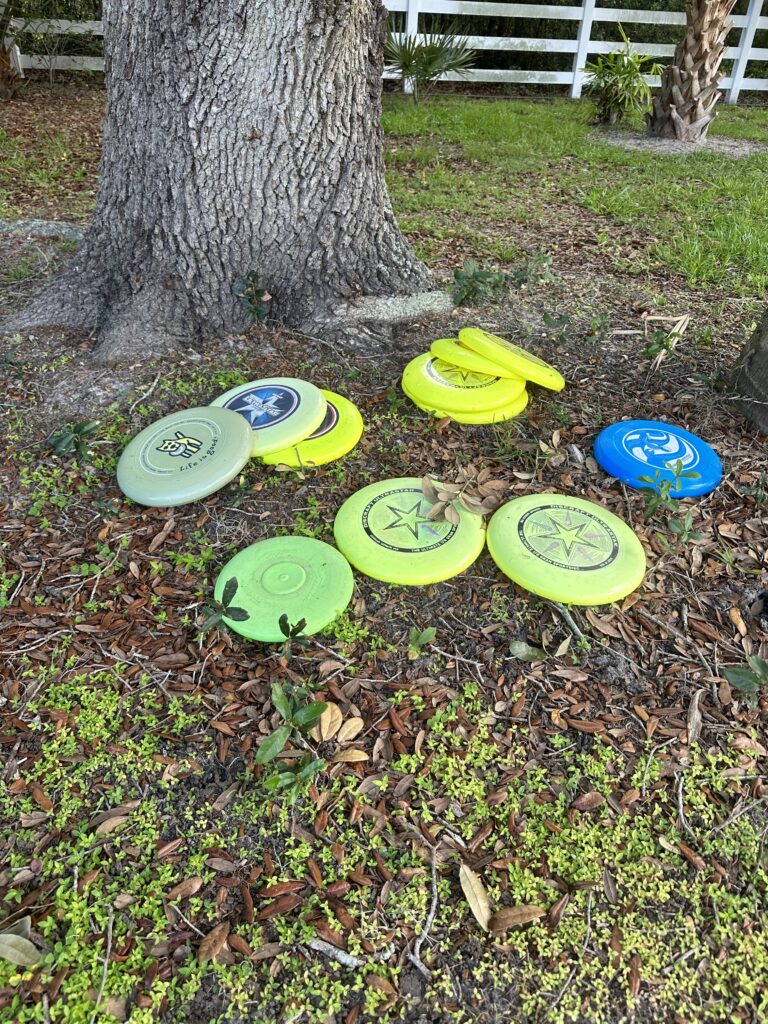 Pile of frisbees next to a tree