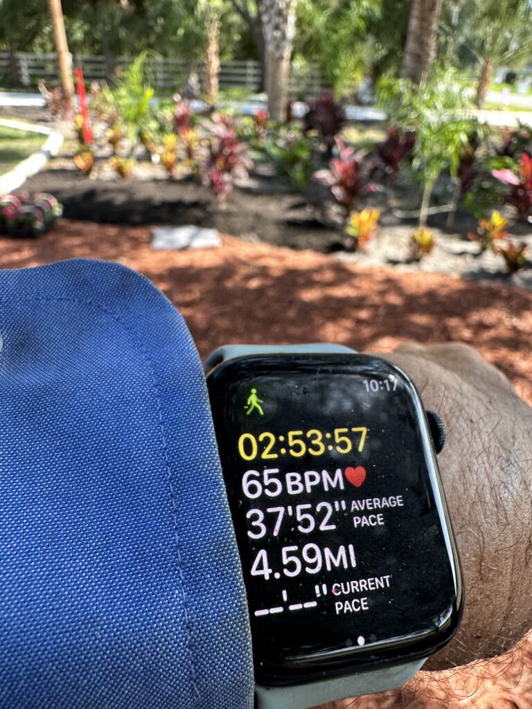 Apple Watch fitness app screenshot