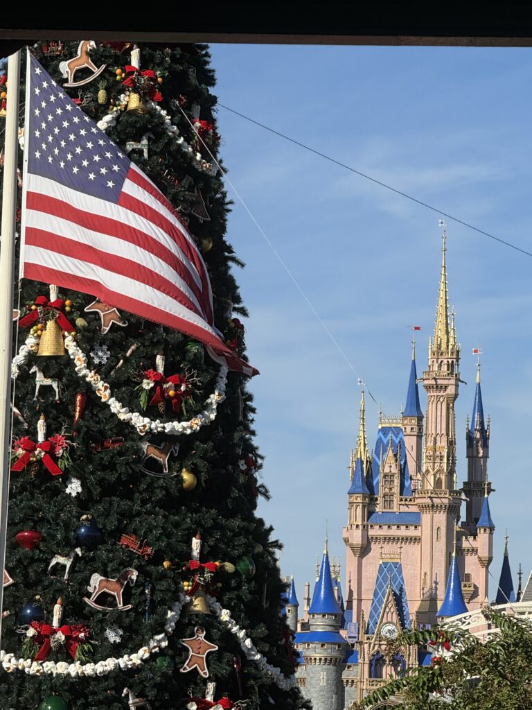 Cinderella castle, Christmas tree, American flag