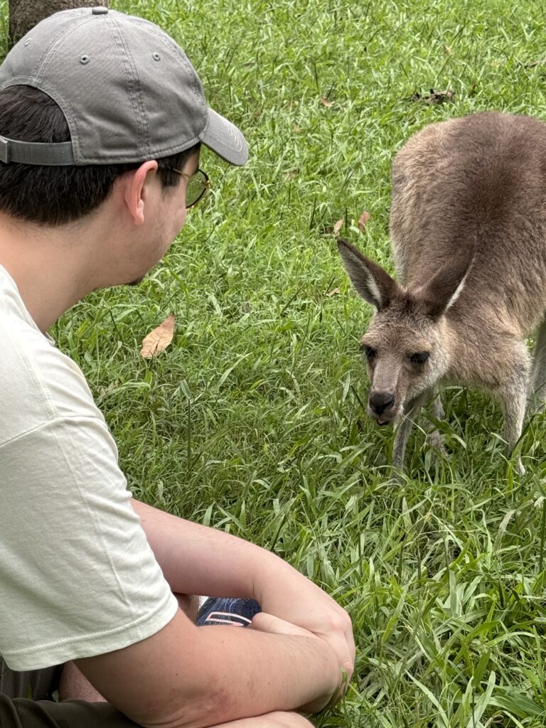 man next to grey kangaroo