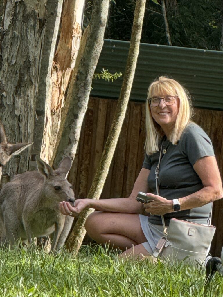 tourist feeding a red kangaroo