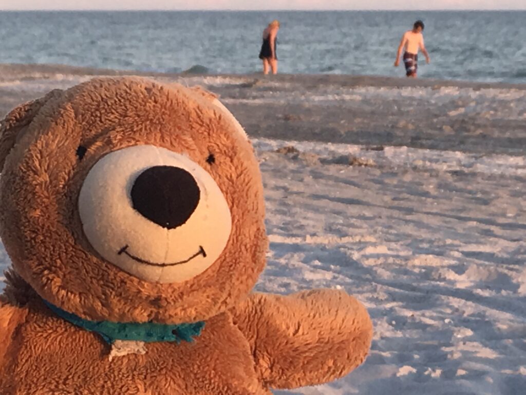 Teddy bear at beach