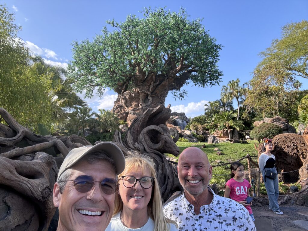 family by Disney Tree of Life