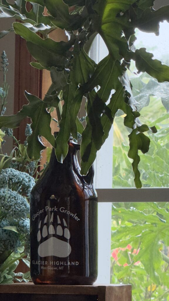 Glass jar with tropical plant