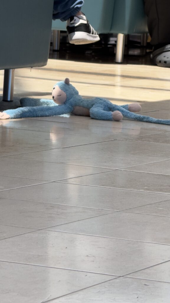 Stuffed toy animal on the floor