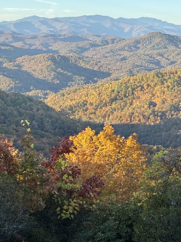 Mountains with fall foliage