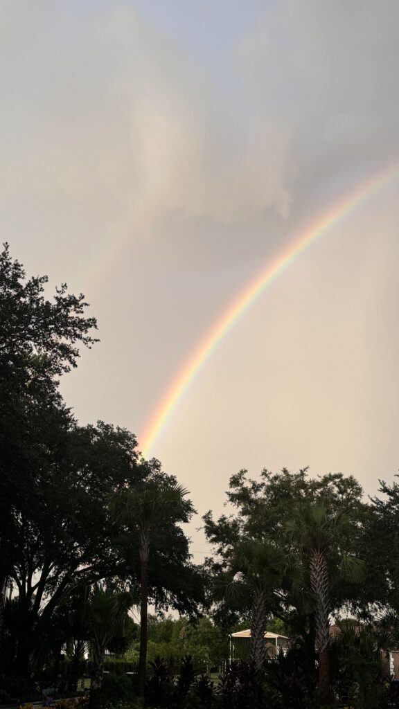Rainbow