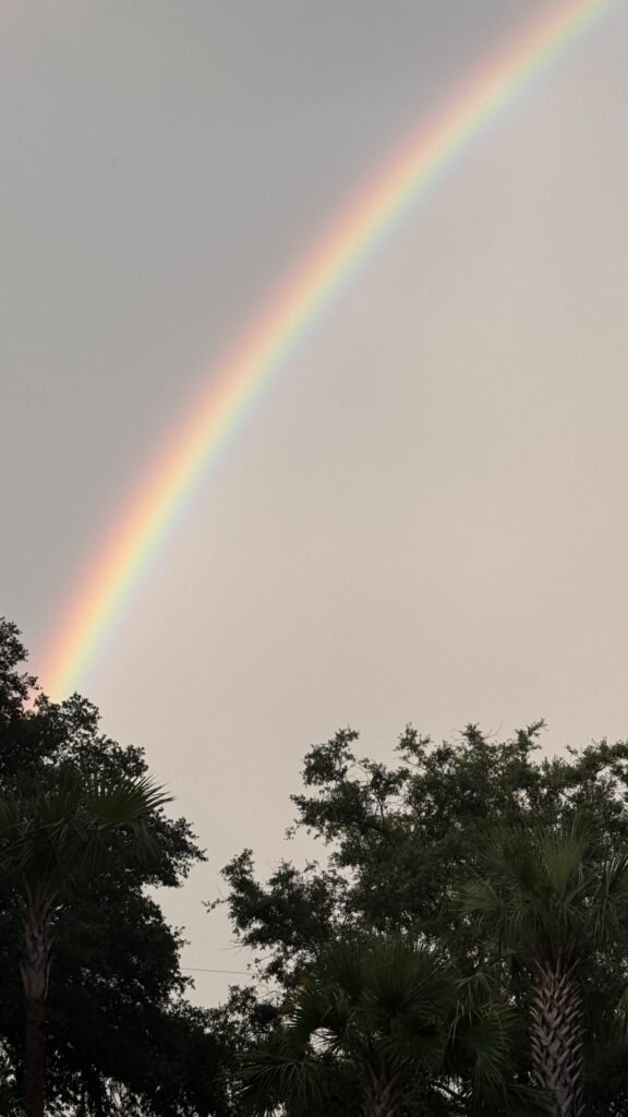 Rainbow