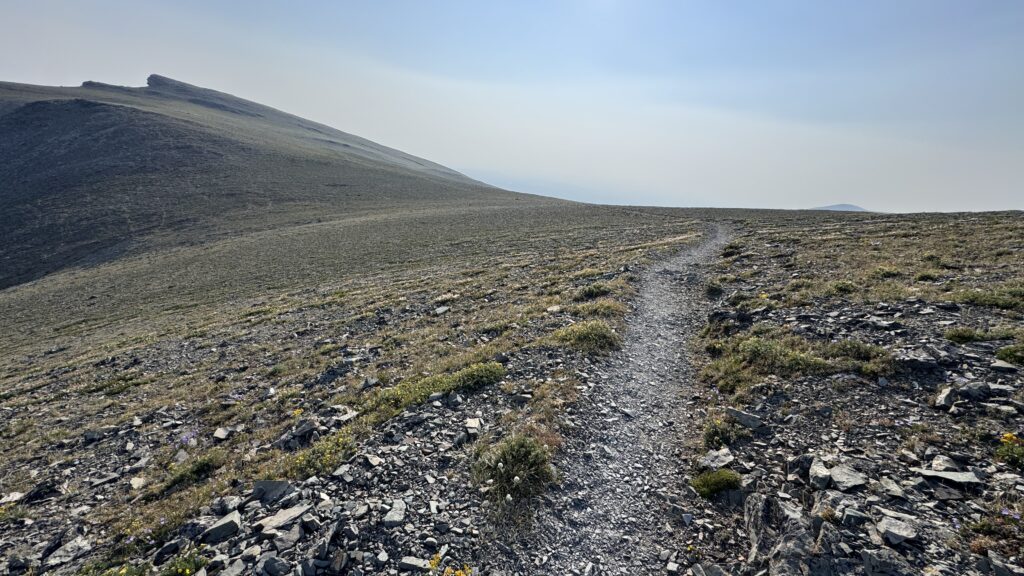 Hiking trail