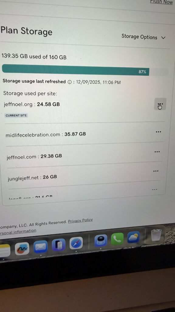 WordPress admin dashboard screenshot for GoDaddy's Managed WordPress storage used