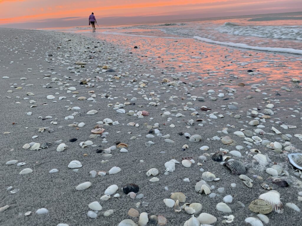 Sanibel Island 