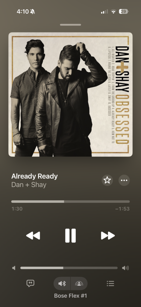 Apple Music song screenshot