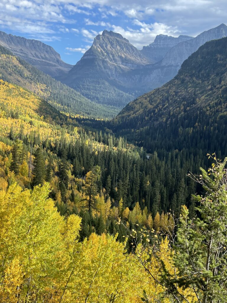 Fall foliage in Glacier National Park mountains